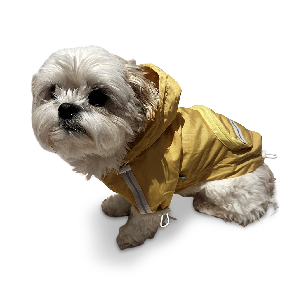 dogo